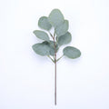without seeds