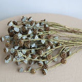 Load image into Gallery viewer, Real Dried Eucalyptus Fruit Branches Pack 2