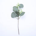 with seeds