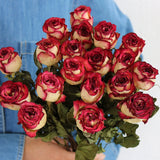 Load image into Gallery viewer, 20-Stem Real Dried Rose Flower Bouquet