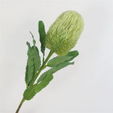 Load image into Gallery viewer, Artificial Banksia Flower Stem (64cm)