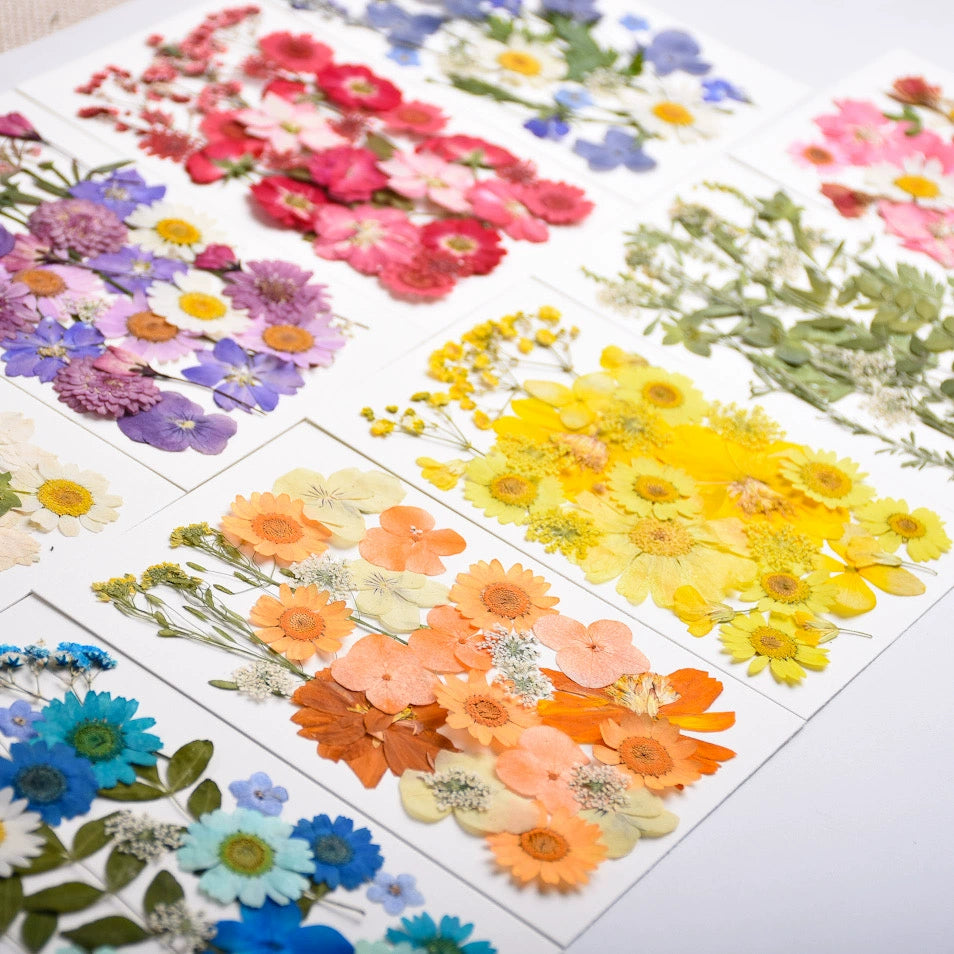 26 Pcs Mixed Dried Pressed Flowers Leaves