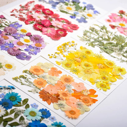 26 Pcs Mixed Dried Pressed Flowers Leaves