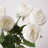 Load image into Gallery viewer, Real Touch White Crown Rose Stem (65cm)