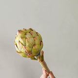 Load image into Gallery viewer, Realistic Artificial Artichoke Stem (30cm)