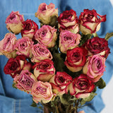 Load image into Gallery viewer, 20-Stem Real Dried Rose Flower Bouquet