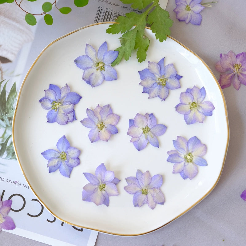 50 Pcs Vibrant Dyed Pressed Delphinium Flowers