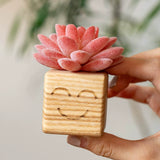 Load image into Gallery viewer, Smiling Artificial Mini Succulents