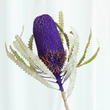 Load image into Gallery viewer, Real Dried Preserved Banksia Flower with Foliage