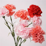 Load image into Gallery viewer, Real Touch Artificial Carnation Flower Stem (49cm)