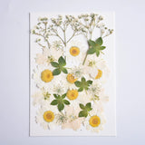 Load image into Gallery viewer, 26 Pcs Real Dried Pressed Flowers for Resin Crafts