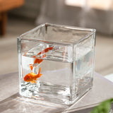 Load image into Gallery viewer, Clear Square Glass Flower Vase