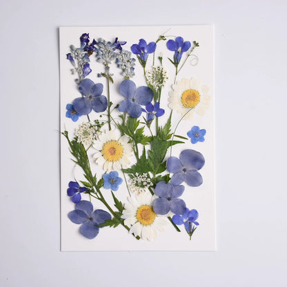 26 Pcs Mixed Dried Pressed Flowers Leaves