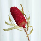 Load image into Gallery viewer, Real Dried Preserved Banksia Flower with Foliage