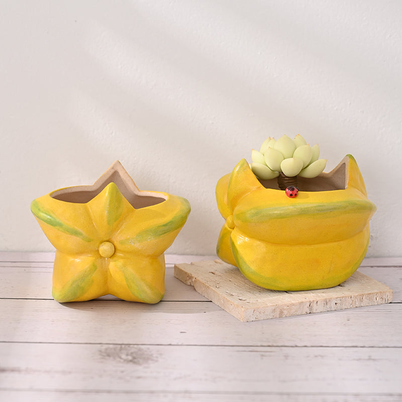 ceramics flower pot Starfruit Mini Size Ceramic Flower Pot – Floral Supplies Store