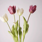 Load image into Gallery viewer, Real-Touch Artificial Tulip Stem (47cm)