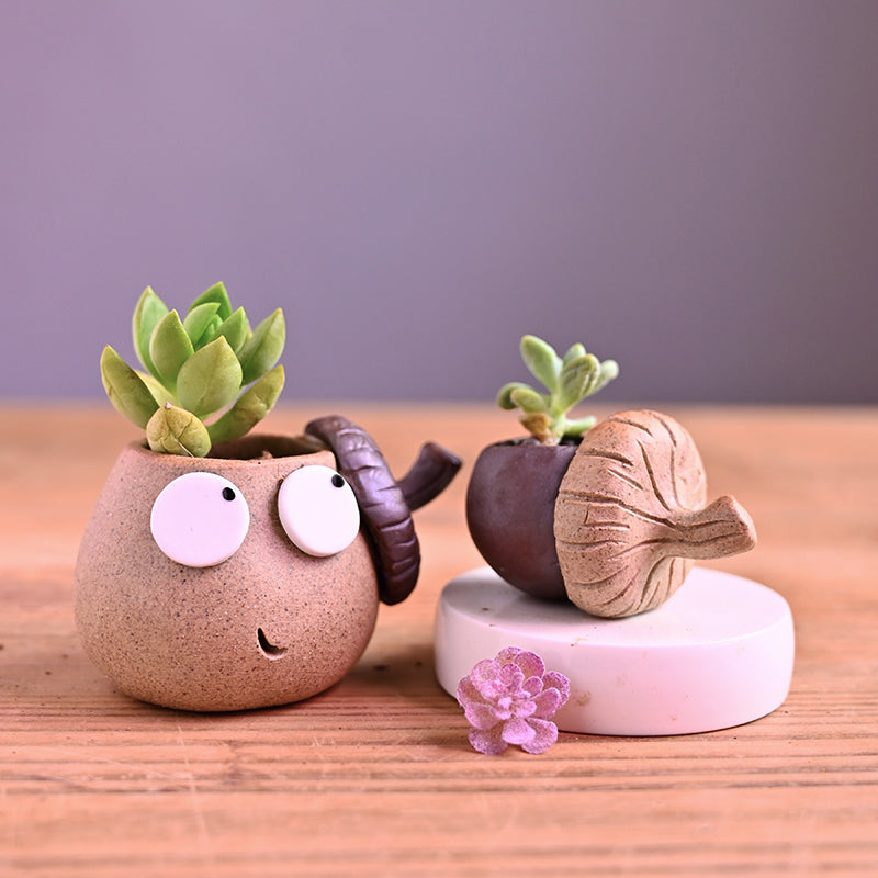 terracotta succulent planters Cute Acorn Mini Terracotta Succulent Planter Pot – Floral Supplies Store