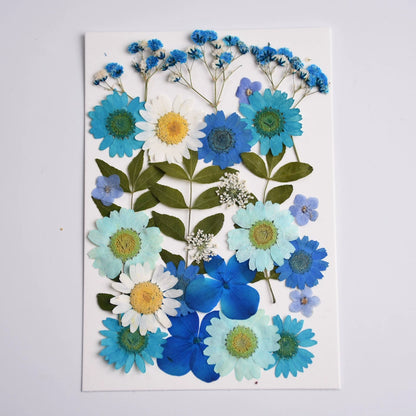 26 Pcs Mixed Dried Pressed Flowers Leaves