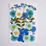 Load image into Gallery viewer, 26 Pcs Real Dried Pressed Flowers for Resin Crafts