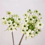 Load image into Gallery viewer, Artificial Star of Bethlehem Flower Stem (64cm)