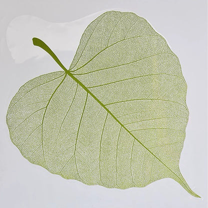 20pcs Leaf Shaped Bouquet Cellophane Wrap