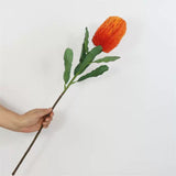 Load image into Gallery viewer, Artificial Banksia Flower Stem (64cm)