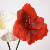 Load image into Gallery viewer, Real Touch Artificial Clivia Stem (54cm)