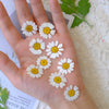 60 pcs