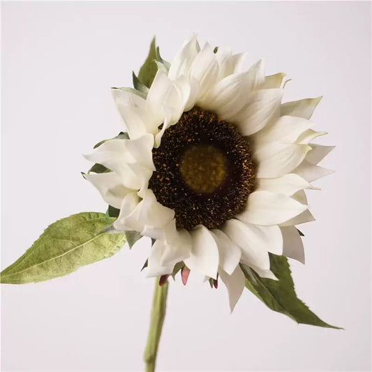 28" Real Touch Cream Sunflower Stem