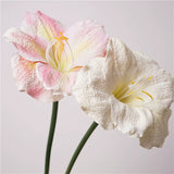 Load image into Gallery viewer, Real Touch Artificial Clivia Stem (54cm)