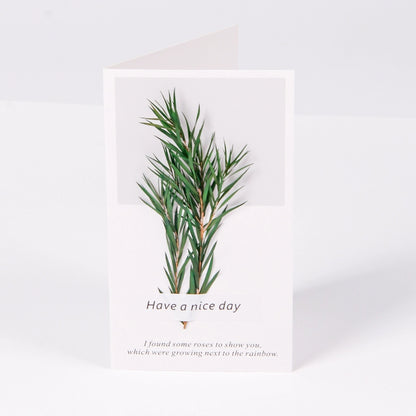 Real Dried Flower Greeting Cards Pack 10