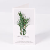 Load image into Gallery viewer, Real Dried Flower Greeting Cards Pack 10