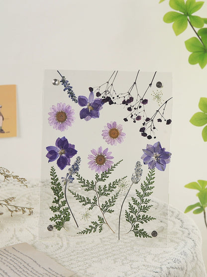 Dried Flowers Pressed Flowers Photo Frame DIY Kit