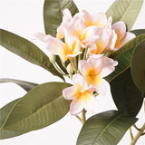 Load image into Gallery viewer, Real Touch Artificial Plumeria Spray (73cm)