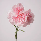 Load image into Gallery viewer, Real Touch Artificial Carnation Flower Stem (49cm)