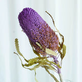 Load image into Gallery viewer, Real Dried Preserved Banksia Flower with Foliage