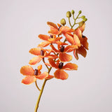 Load image into Gallery viewer, Real Touch Artificial Vanda Orchid Stem (75cm)