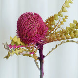 Load image into Gallery viewer, Real Dried Preserved Banksia Flower with Foliage