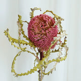 Load image into Gallery viewer, Real Dried Preserved Banksia Flower with Foliage