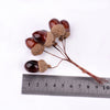 3 bundles (18pcs acorns )