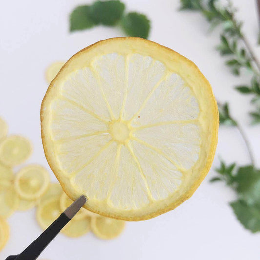 10 Pcs Real Dried Pressed Lemon Slices