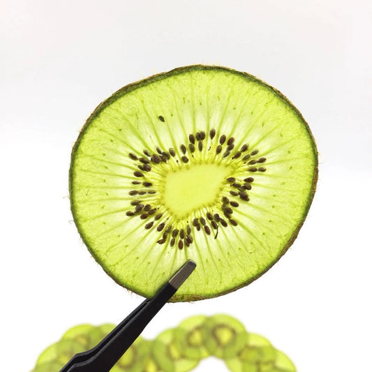 10 Pcs Real Dried Pressed Kiwi Slices