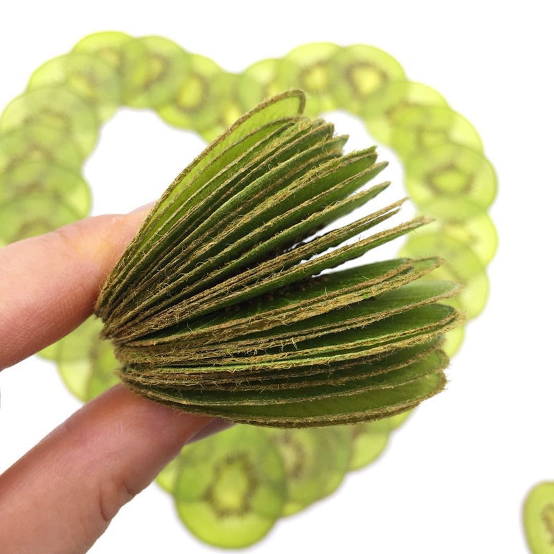 10 Pcs Real Dried Pressed Kiwi Slices