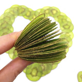 Load image into Gallery viewer, 5 Pcs Dried Pressed Kiwi Fruit for Resin Crafts