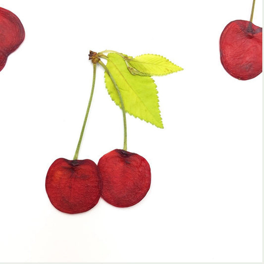 10 Pcs Real Pressed Dried Cherry Slices with Stems