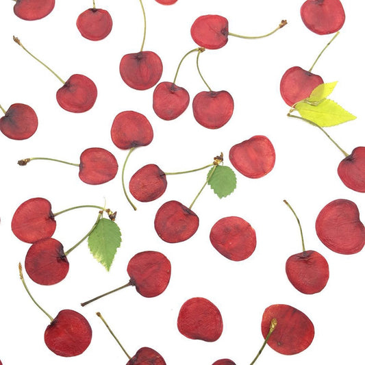 10 Pcs Real Pressed Dried Cherry Slices with Stems