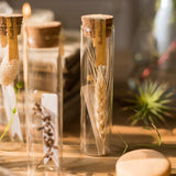 Load image into Gallery viewer, Natural Dried Flower Wishing Bottle Party Favors