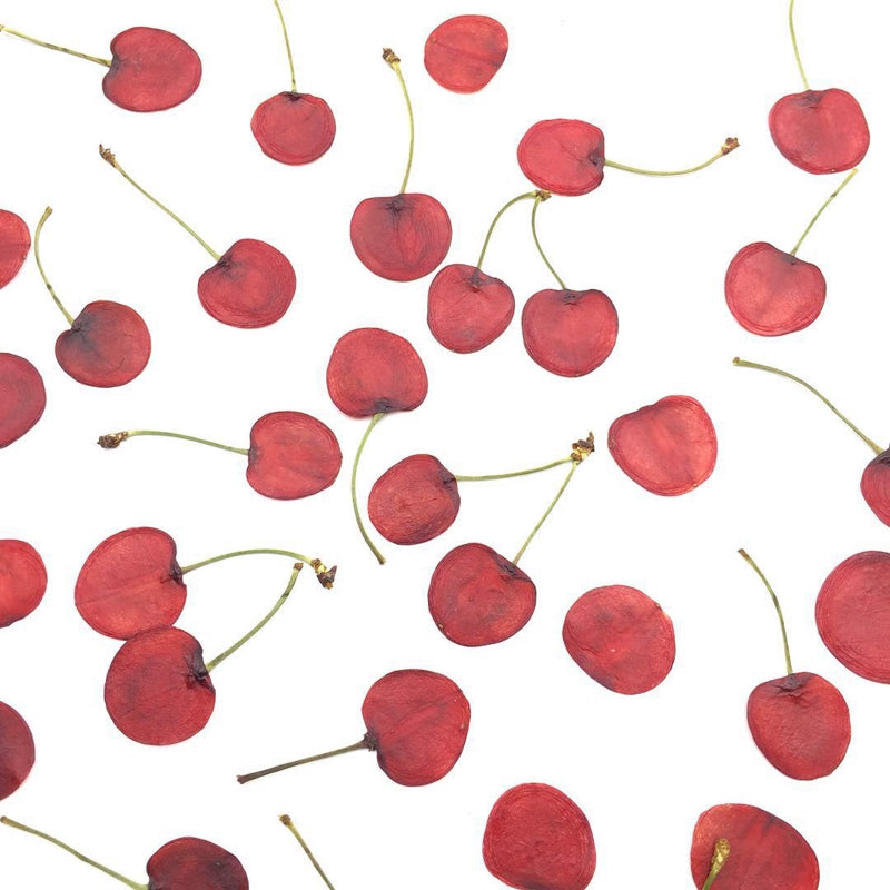 10 Pcs Real Pressed Dried Cherry Slices with Stems
