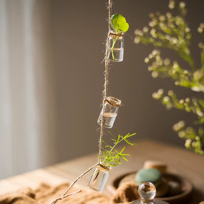 Mini Bottle Ganging Glass Bud Vase Set