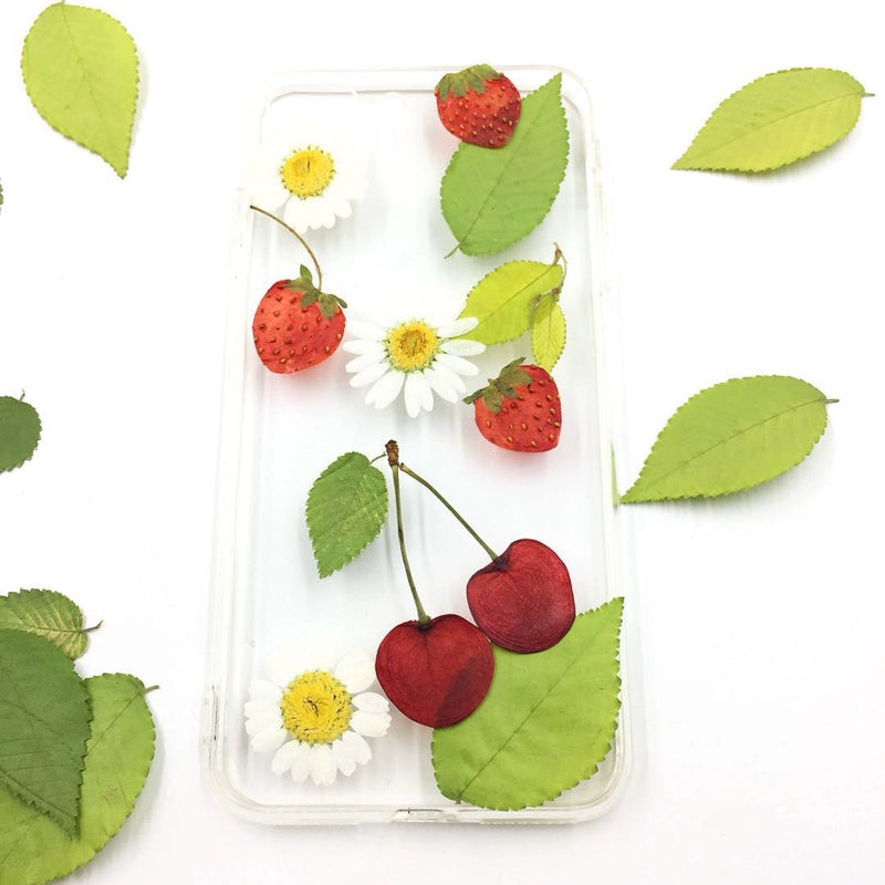 10 Pcs Real Pressed Dried Cherry Slices with Stems